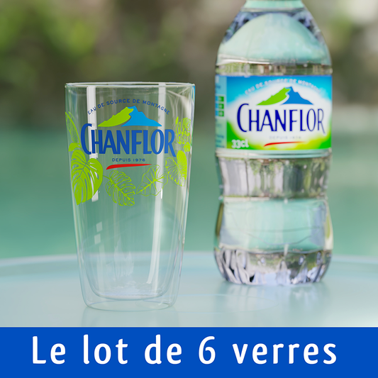 LOT DE 6 VERRES CHANFLOR